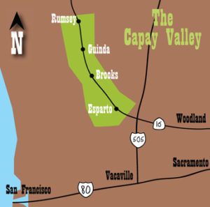 capsy valley for sale